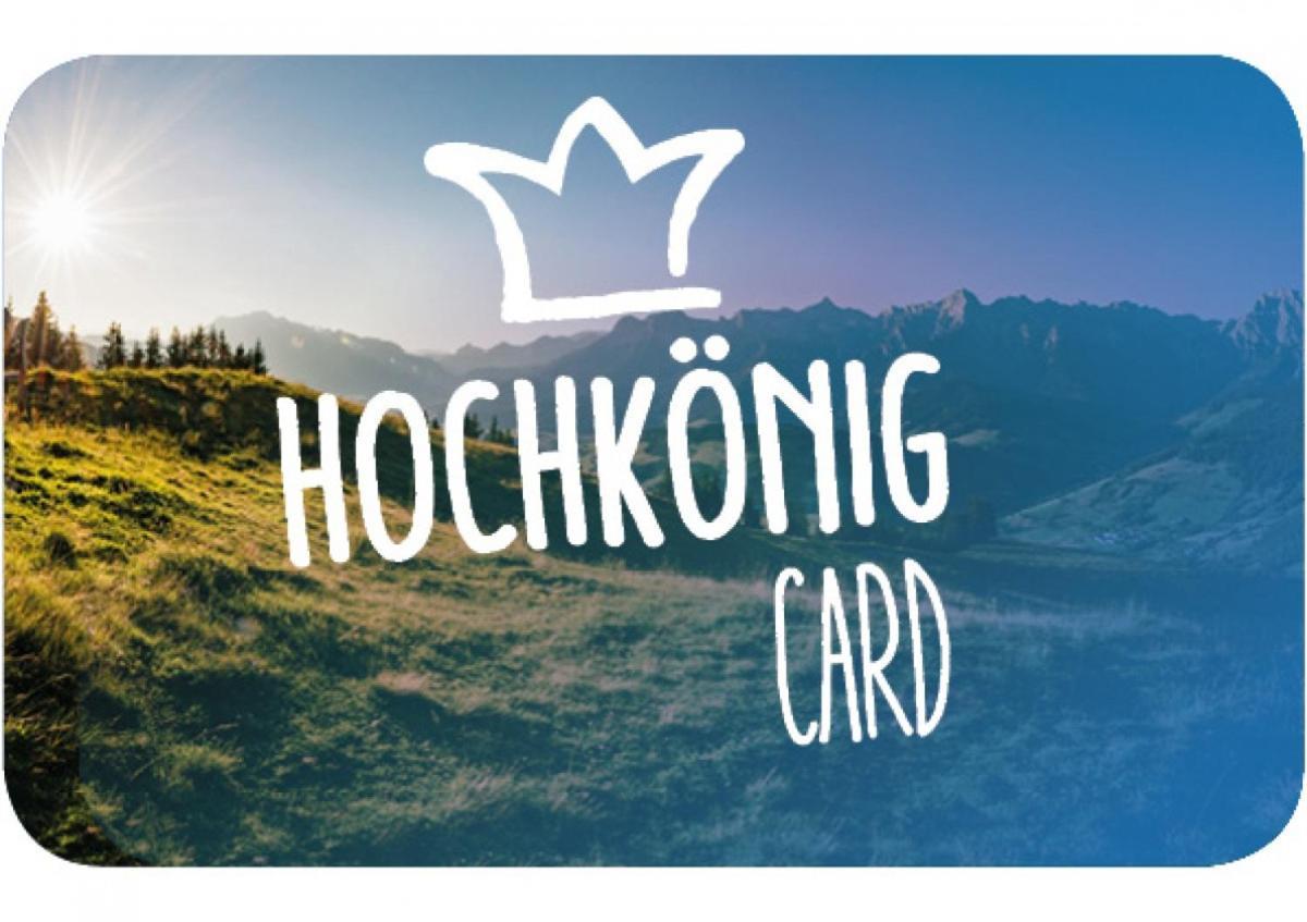 Haus Schneeberg Mit Hochkoenig Card Apartment Muhlbach Am Hochkonig Luaran gambar