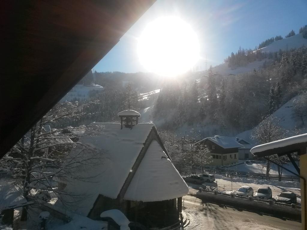 Haus Schneeberg Mit Hochkoenig Card Apartment Muhlbach Am Hochkonig Luaran gambar